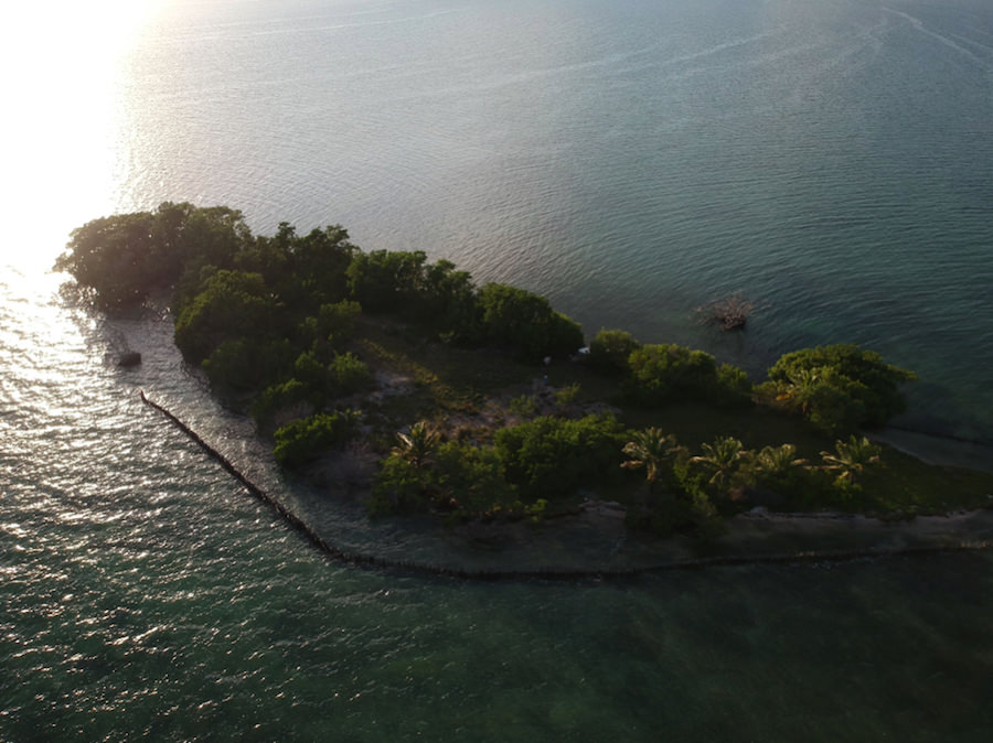 Our island: Coffee Caye in the Caribbean, 9 km from Belize City.